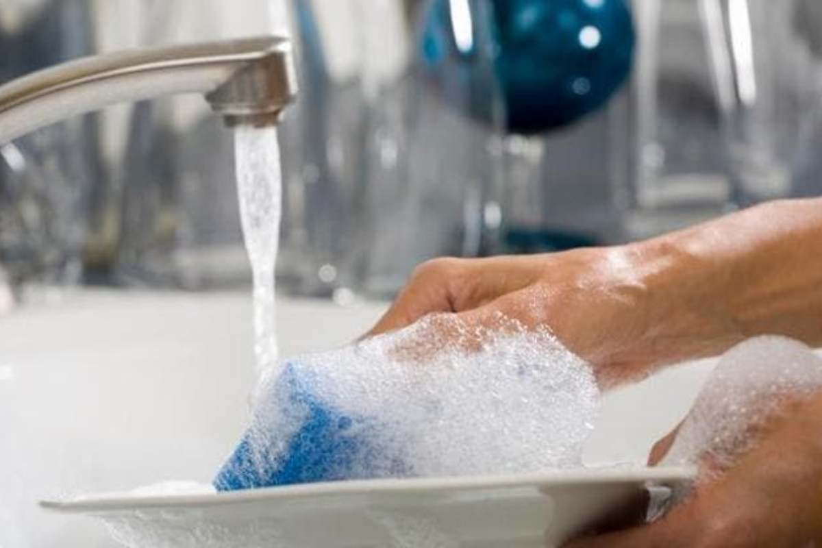 Pulizia spugne Pulizia spugne