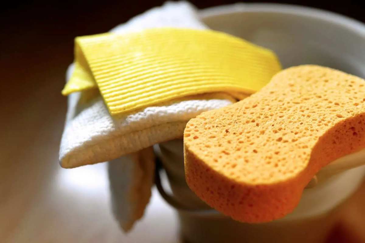 Pulizia delle spugne