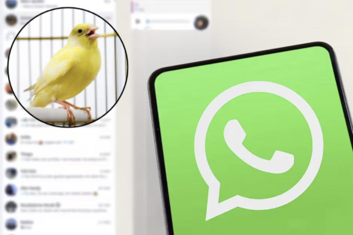 In questo contesto si inserisce la cosiddetta modalità canarino, una novità virale che sta conquistando gli appassionati della personalizzazione digitale