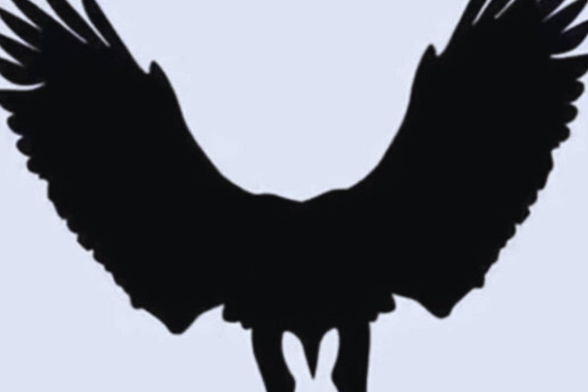 Il meccanismo è immediato: davanti a un’immagine ambigua, la scelta istintiva tra il coniglio e l’aquila rappresenta una sorta di specchio psicologico.